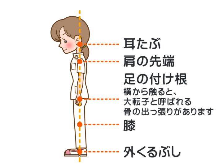 整体に通えば姿勢の改善はできますか？の画像